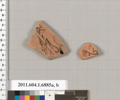 Terracotta fragments of a kylix (drinking cup)