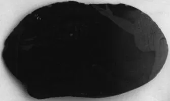 FRAGMENT (ATHENIAN, RED-FIGURE)