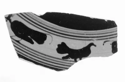 Attic Black-Figure Droop Cup Fragment