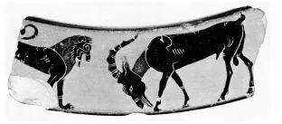 KRATER, COLUMN, FRAGMENT (ATHENIAN, BLACK-FIGURE)