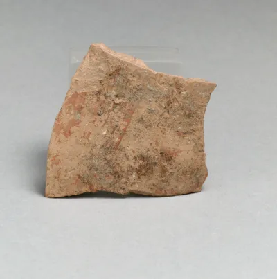 Vase fragment