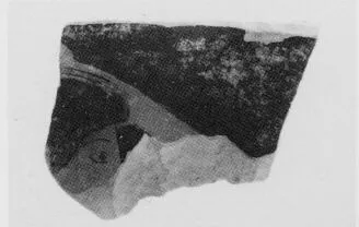 LOUTROPHOROS, FRAGMENTS (ATHENIAN, RED-FIGURE)