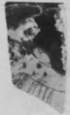 CUP, FRAGMENT (ATHENIAN, RED-FIGURE)