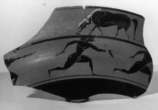 CUP, SIANA, FRAGMENT (ATHENIAN, BLACK-FIGURE)
