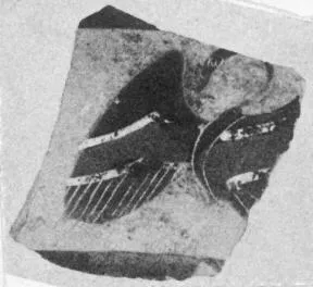 CUP, LITTLE MASTER BAND, FRAGMENT (ATHENIAN, BLACK-FIGURE)