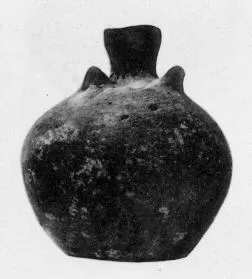 FLASK (VILLA NOVA)