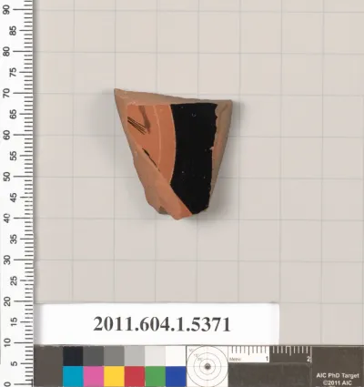 Terracotta fragment of a kylix (drinking cup)