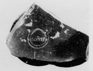 CUP, FRAGMENT (TERRA SIGILLATA)