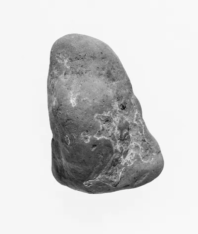 Female Head