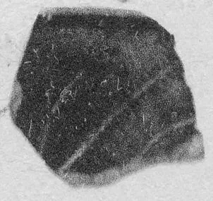 CUP, FRAGMENT (ATHENIAN, RED-FIGURE)