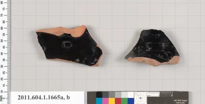 Terracotta fragments of kylikes (drinking cups)