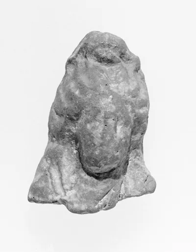 Female Head