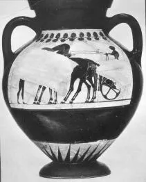 AMPHORA, BELLY, TYPE B (ATHENIAN, BLACK-FIGURE)