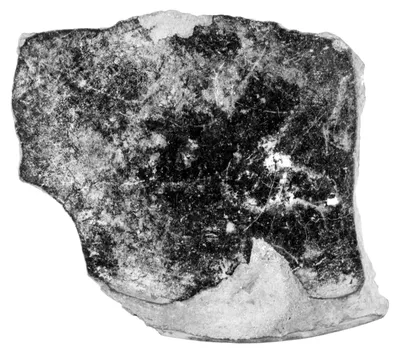 Fragment of a Small Bowl