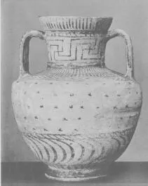 AMPHORA, NECK (EAST GREEK, FIKELLURA)