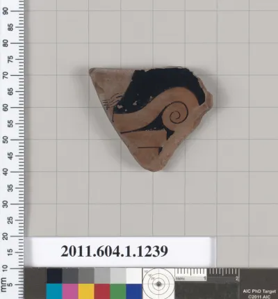 Terracotta fragment of a kylix (drinking cup)