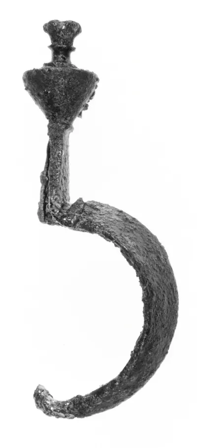 Fibula