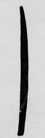 KANTHAROS, FRAGMENT (ATHENIAN, BLACK-FIGURE)