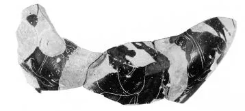 AMPHORA, NECK, FRAGMENT (ATHENIAN, BLACK-FIGURE)
