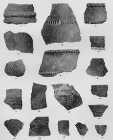VARIOUS (SARVAS)