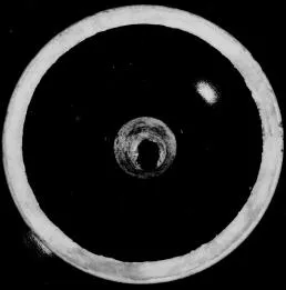 CUP (ATHENIAN, RED-FIGURE)