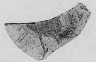 KRATER, FRAGMENT (ATHENIAN GEOMETRIC, SILHOUETTE)