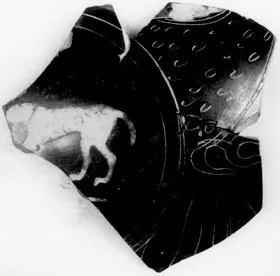 AMPHORA, BELLY, FRAGMENT (ATHENIAN, BLACK-FIGURE)