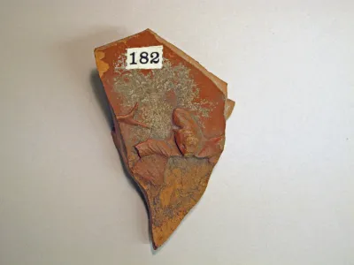Vase fragment
