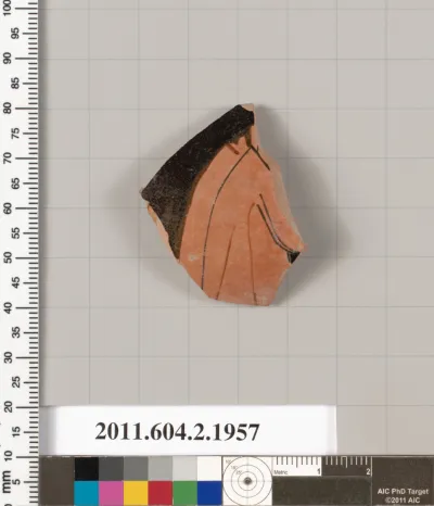 Terracotta fragment of an oinochoe: chous (jug)?