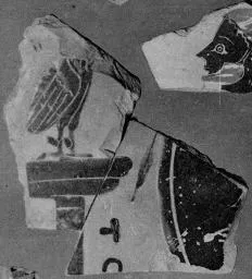 AMPHORA, PANATHENAIC PRIZE, FRAGMENT (ATHENIAN, BLACK-FIGURE)