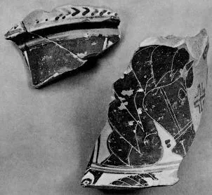 AMPHORA, NECK, FRAGMENTS (PROTOATTIC, BLACK-FIGURE)