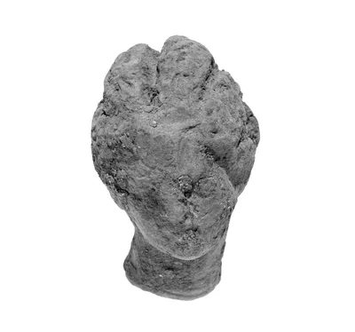Head with Melon Coiffure