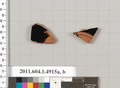 Terracotta fragments of kylikes (drinking cups)