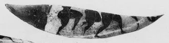 HYDRIA, FRAGMENTS (ATHENIAN, BLACK-FIGURE)