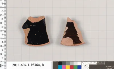 Terracotta fragments of kylikes (drinking cups)