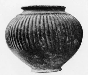 JAR (VILLA NOVA)