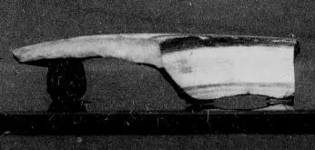 DINOS, FRAGMENT (EAST GREEK, NAUCRATITE, BLACK-FIGURE)