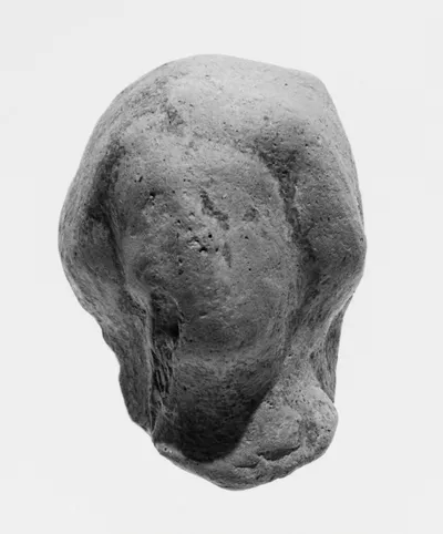 Female Head