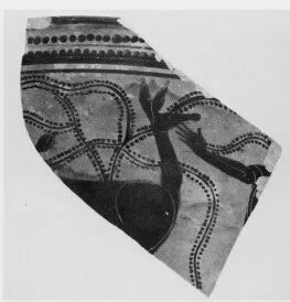 SKYPHOS, FRAGMENT (ATHENIAN, BLACK-FIGURE)