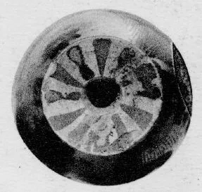 ALABASTRON (CORINTHIAN, BLACK-FIGURE)