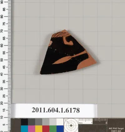 Terracotta fragment of a kylix (drinking cup)