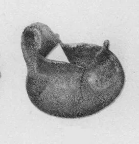 MUG (VILLA NOVA)