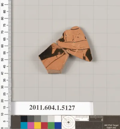 Terracotta fragment of a kylix (drinking cup)