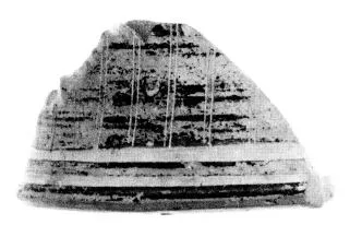 PYXIS, FRAGMENT (CORINTHIAN, BLACK-FIGURE)