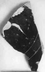 AMPHORA, PANATHENAIC PRIZE, FRAGMENT (ATHENIAN, BLACK-FIGURE)