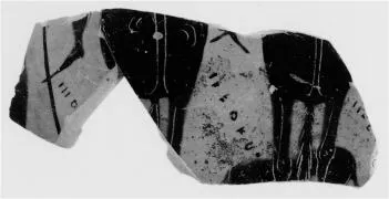 AMPHORA, NECK, FRAGMENTS (ATHENIAN, BLACK-FIGURE)