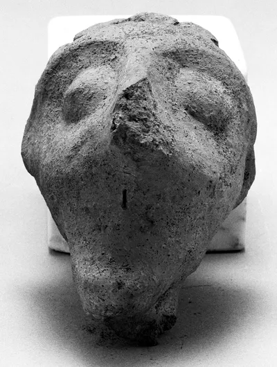 Male Head