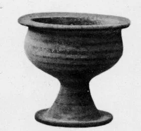 CUP (VEIAN)