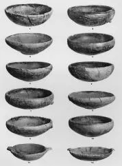VARIOUS (DALJ)