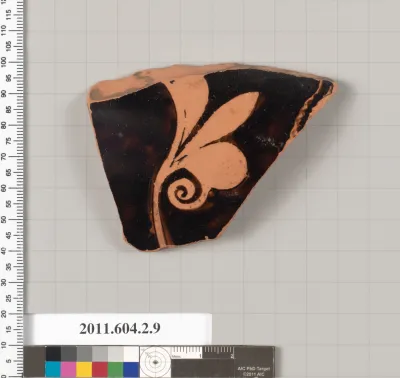 Terracotta fragment of a neck-amphora (jar)